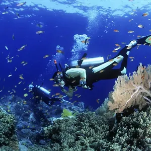 https://stella-marina-91026.sicilyhotelsitaly.net